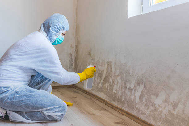Hvac And Air Duct Mold Remediation inspection of HVAC system in Sparta